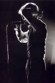 Image result for thin white duke