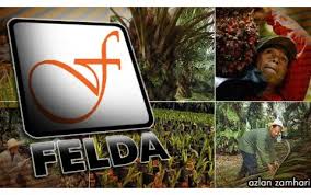 Image result for felda