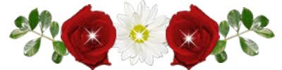 images?q=tbn:ANd9GcRJVk7WinElD7GSYO3iuow