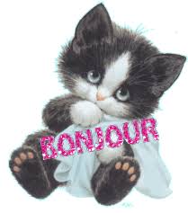R&eacute;sultat de recherche d'images pour "chat qui dit bonjour"