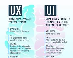 UX/UI Designer