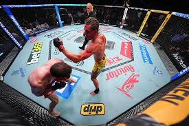 Brendan Allen Octagon Interview | UFC Fight Night: Muhammad vs Bonfim