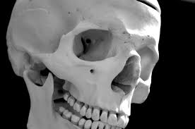 Human remains, Alberta crime report