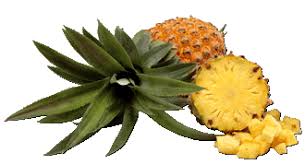 R�sultat de recherche d'images pour "gif ananas"