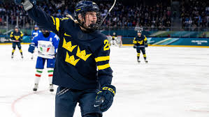 Hv71 : ce qu'il faut savoir — image 4
