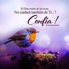 Resultado de imagen de confianza en jesus