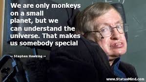 Stephen Hawking Quotes at StatusMind.com via Relatably.com