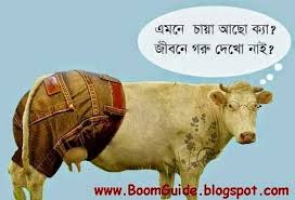 Image result for bangla funny comments