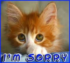 Resultado de imagen de Sorry