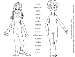 Resultado de imagen para cuerpo humano