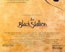 Image of Black Stallion (1978) movie poster
