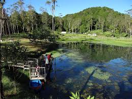 Hasil gambar untuk foto wisata bandung utara