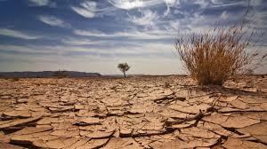 Trend Google: crisi climatica
