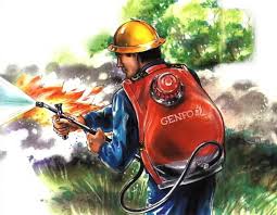 [新竹] 一起來當小小森林護管員