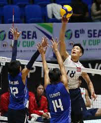 Rampazzo: Right path for Vietnam