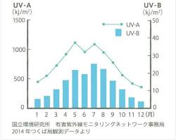 B波の画像