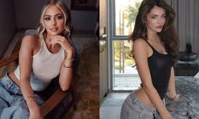 Dosar de șantaj și percheziții în scandalul Bostanică-Beregoi.