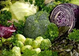 Image result for RAU MẦM CẢI XANH