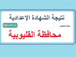 المصري اليوم - News update