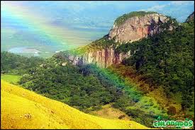 Resultado de imagen para cerro de las campanas parque nacional