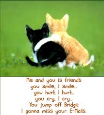 Cute Friendship Quotes Funny. QuotesGram via Relatably.com