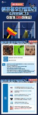 중부일보 - News update