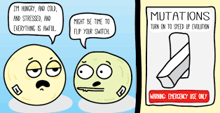 Image result for organisms and their environment