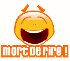 Résultat de recherche d'images pour "smileys MDR"
