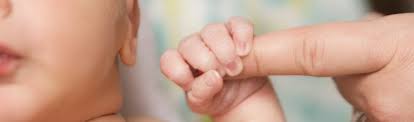 Image result for palmar grasp