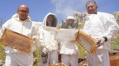 Erzincan'da 100 bin üzeri kolonide 1 milyon kilogram bal üretiliyor İhlas Haber Ajansı