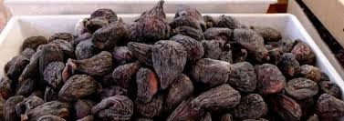 Resultado de imagem para figo preto de torres