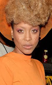 Erykah Badu - rs_634x1024-131212150514-634.erykah-badu-bet-121213