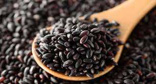 Image result for forbidden black rice
