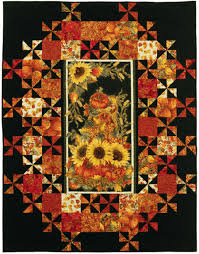 Résultat de recherche d'images pour "panels quilt patterns"