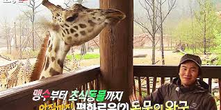 Image result for lee kwang soo running man giraffe