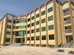 Image result for millennium roots school