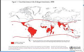 Image result for virus zika