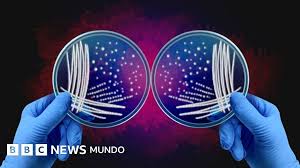 Premio Nobel De Química