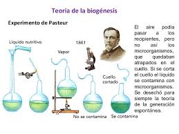 Resultado de imagen para origen de la vida abiogenesis