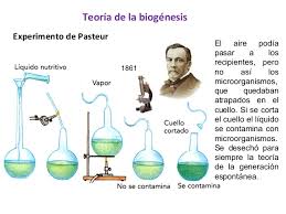 Resultado de imagen para origen de la vida abiogenesis