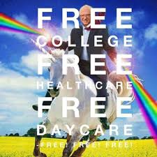 Image result for not feeling  the bern