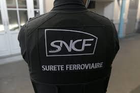 Lyon. Après s’être réfugiée dans les toilettes, elle avait frappé et craché sur des policiers lors d’un contrôle SNCF