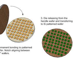 Image of semiconductor wafer with multiple dies