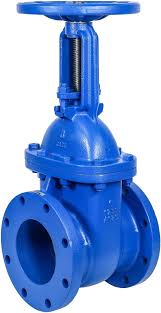 6" Cast Iron Gate Valve - Metal Seated, Rising Stem | ValveKing