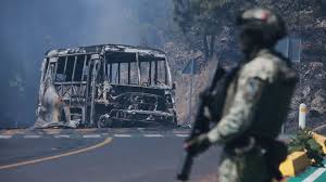 Man whose slain brother led Mexican cartel pleads guilty to drug charges in US