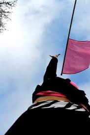 Image result for colorguard whoosh