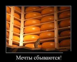 images?q=tbn:ANd9GcRLqUaXAPYay6gCxpC9C0fzyXqcbO_A2cpqqnkn-UwkE5xAYoKz