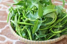 Kết quả hình ảnh cho rau muống