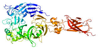 Picture of Plexin