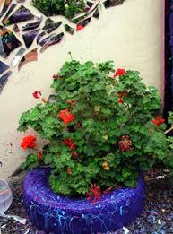 Image result for flowers on tires